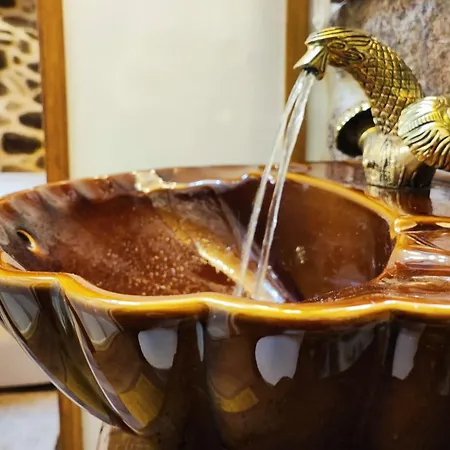 Castrum - Casa Da Curveirinha - Jacuzzi *