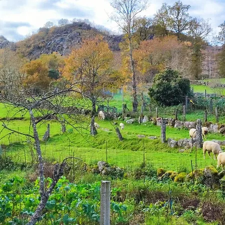 Castrum - Casa Da Curveirinha - Jacuzzi 別荘