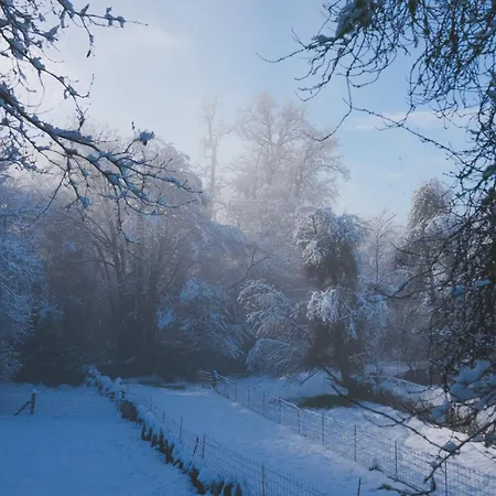 펜션 Castrum - Casa Da Curveirinha - Jacuzzi 멜가코