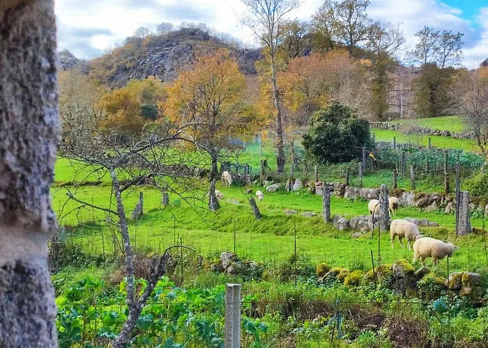 Castrum - Casa Da Curveirinha - Jacuzzi 펜션