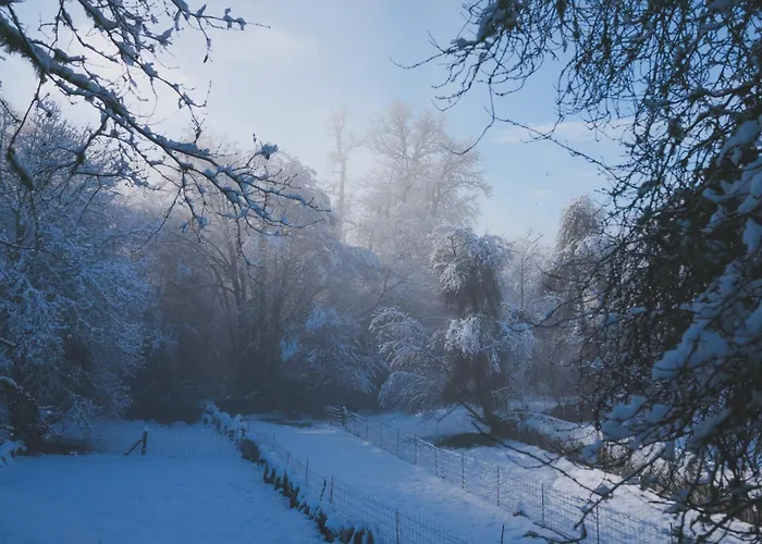 펜션 Castrum - Casa Da Curveirinha - Jacuzzi 멜가코